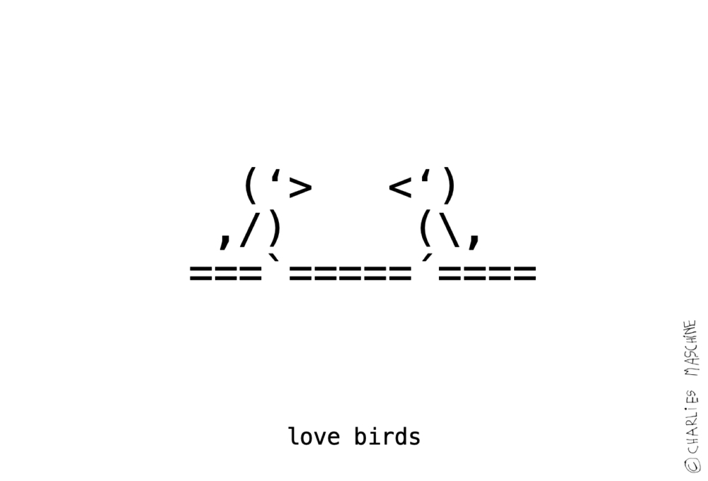 love birds, laptop - ascii kunst, Charlie 14 Jahre