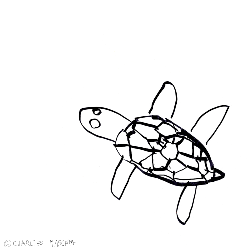 Schildkröte – Wunderstiftzeichnung (schwarzer permanent marker); Charlie 5½ Jahre